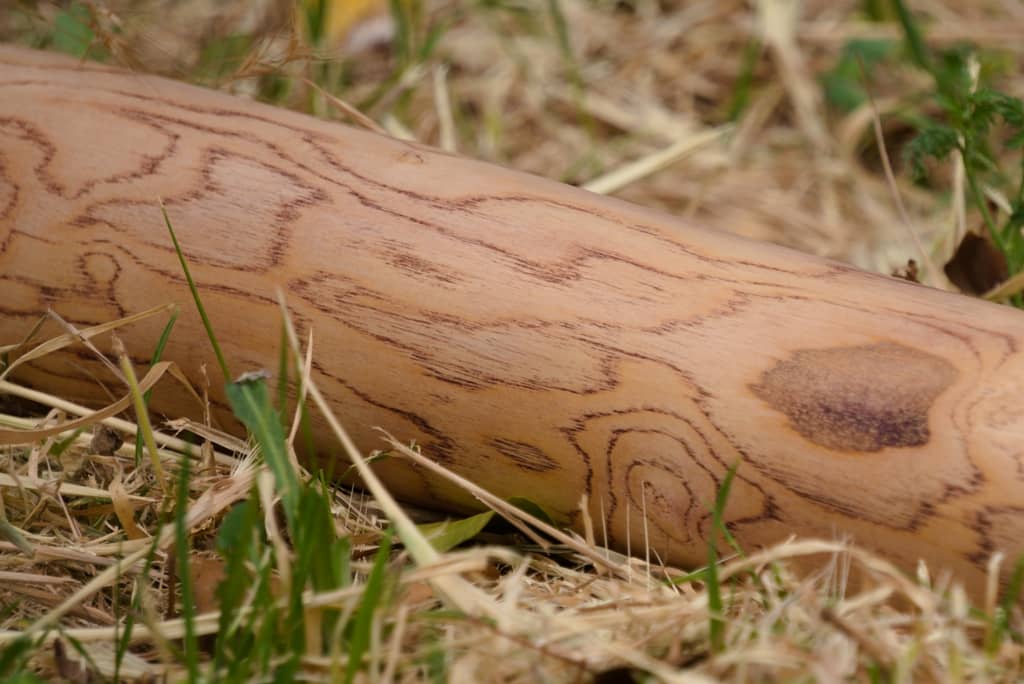 didgeridoo-gard-chene