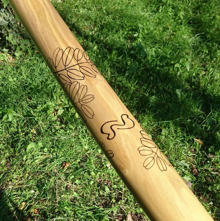 didgeridoo-gard-occitanie-acacia