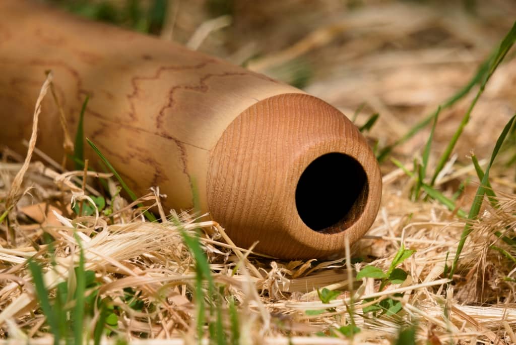 didgeridoo-occitanie-gard-chene