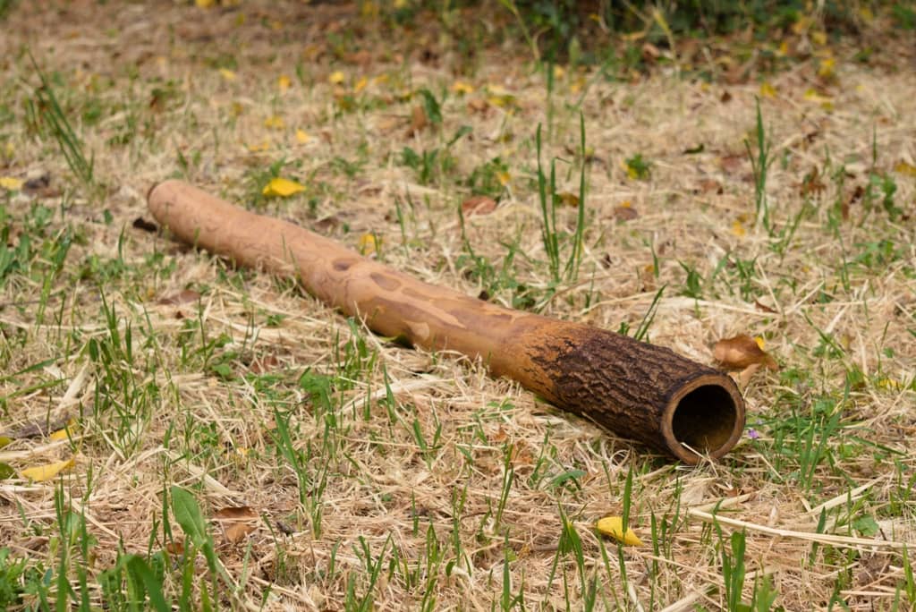le-bois-chantant-didgeridoo-gard-chene