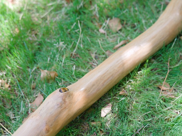 didgeridoo-bois-france