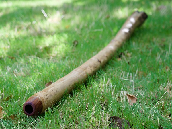 embouchure-bois-didgeridoo