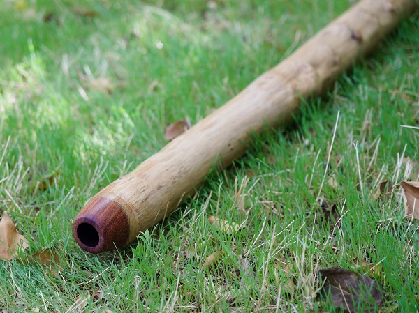 embouchure-bois-france-didgeridoo