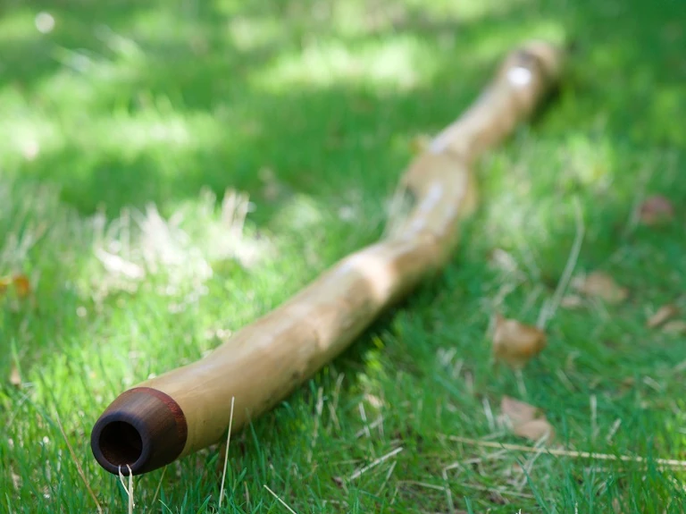 didgeridoo