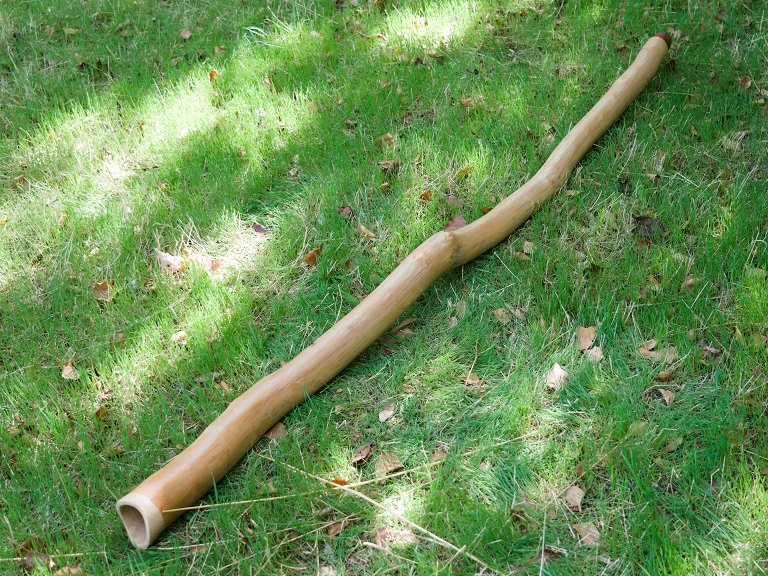 didgeridoo La