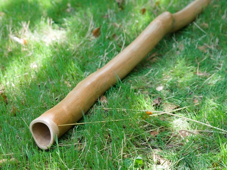 France didgeridoo